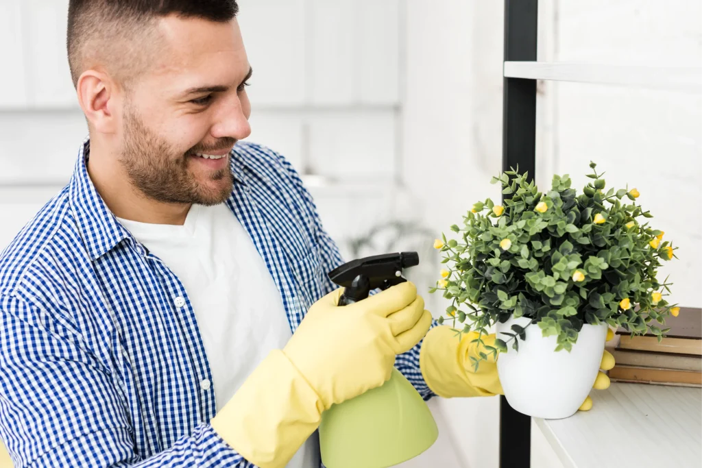 Occasional or Spring Clean